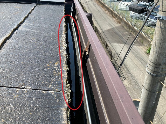 雨どいの水たまり